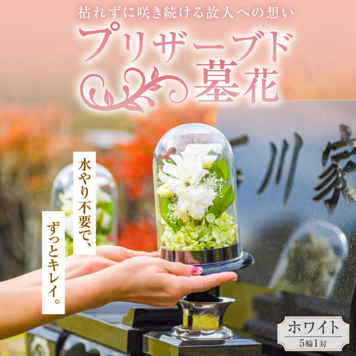 横浜DeNAベイスターズしっぺい返し品特集！