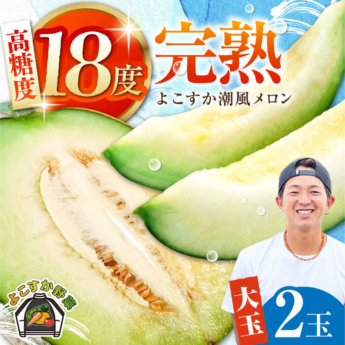 【ふるさと納税】【先行予約】【数量限定】よこすか潮風メロン 大玉4L 2玉セット 計約3kg  【井上農園】めろん メロン くだもの 果物 ネットメロン 贈答 ギフト フルーツ ふるーつ 大玉メロン [AKDJ001]