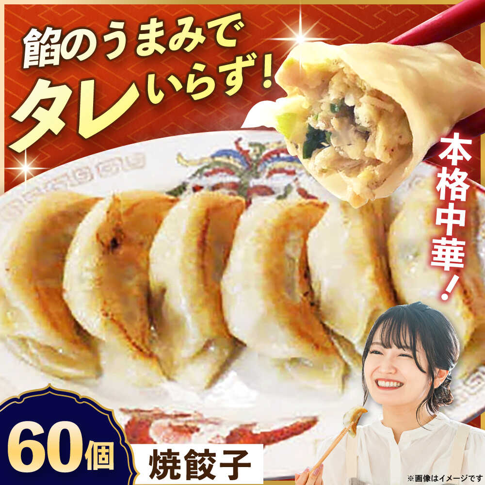 【ふるさと納税】【テレビで紹介されました！】冷凍 焼餃子 60個 ジューシー モチモチ 自家製 餃子 ぎょうざ 中華【横須賀商工会議所 おもてなしギフト事務局（上海亭）】お取り寄せ おかず つまみ ビール 簡単 本格 肉厚 肉汁 焼ぎょうざ ギョーザ 惣菜 パーティー[AKED003] 28,120円