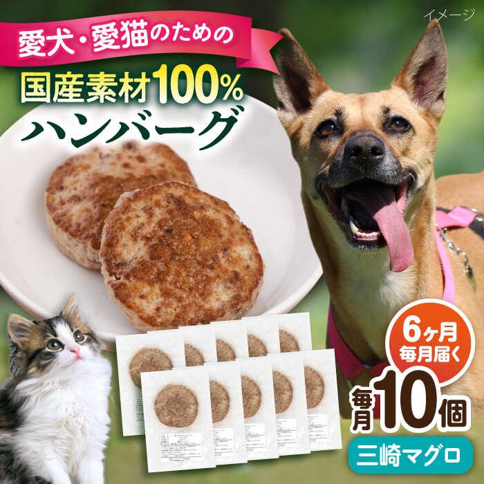 横浜DeNAベイスターズしっぺい返し品特集！