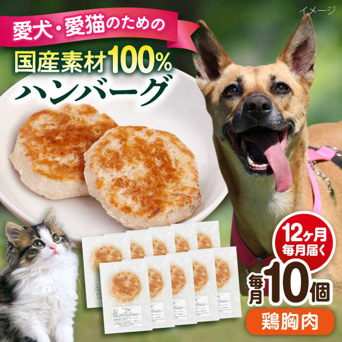 横浜DeNAベイスターズしっぺい返し品特集！