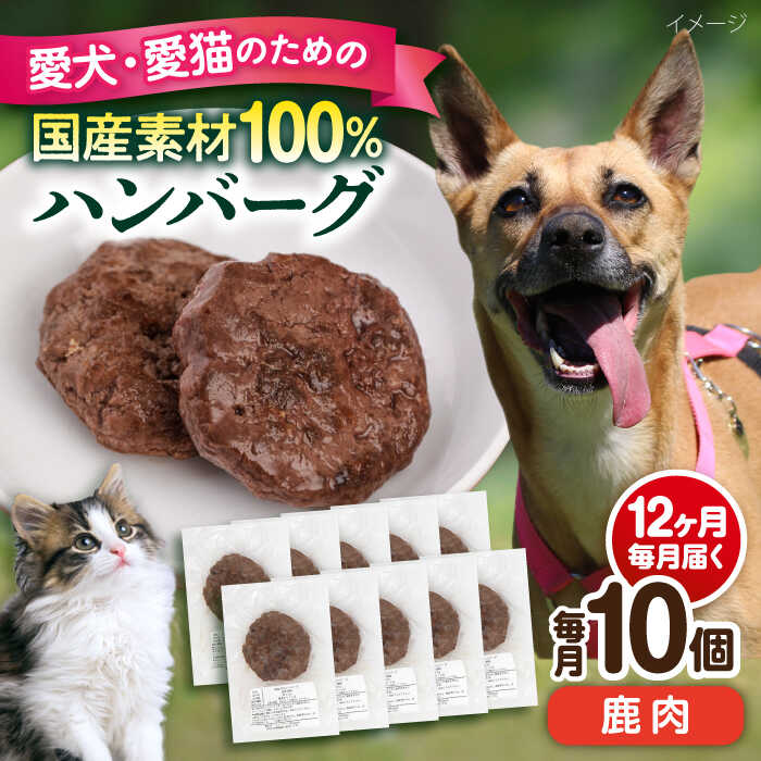 横浜DeNAベイスターズしっぺい返し品特集！