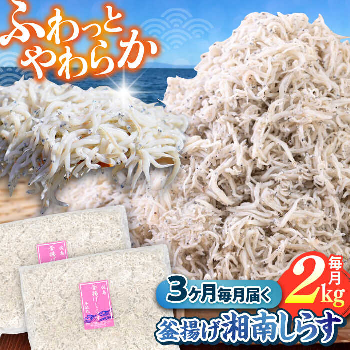 【ふるさと納税】【全3回定期便】釜揚げ 湘南しらす 1kg&times;2P / しらす 湘南 ふわふわ 食感 冷凍 国産 シラス お取り寄せ 人気 大容量 佐島 横須賀 かながわブランド 神奈川県【平敏丸】[AKEZ014]｜神奈川県横須賀市