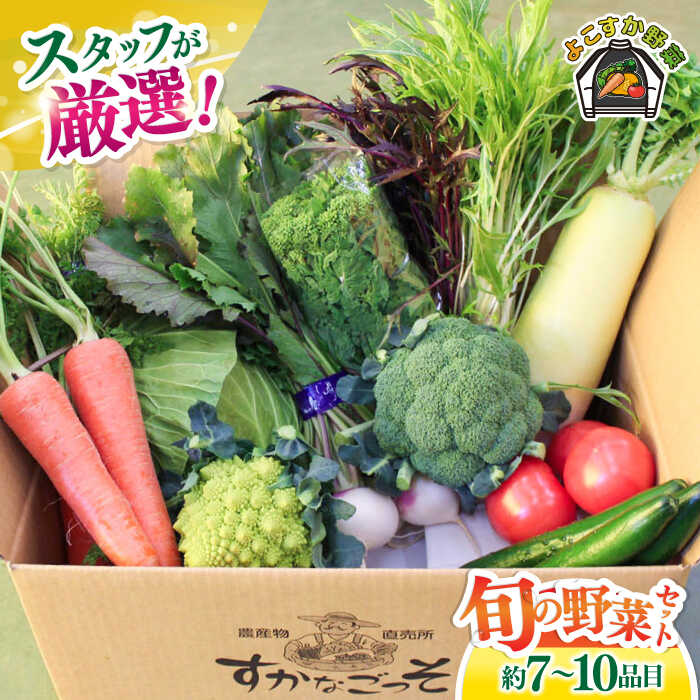 【ふるさと納税】よこすか野菜セット すかなボックス  野菜 お野菜 季節野菜 やさい 詰め合わせ 詰合せ セット お楽しみ 産地直送 旬 厳選 すかなごっそ 農産物 神奈川県 横須賀市【JAよこすか葉山】[AKFO001]
