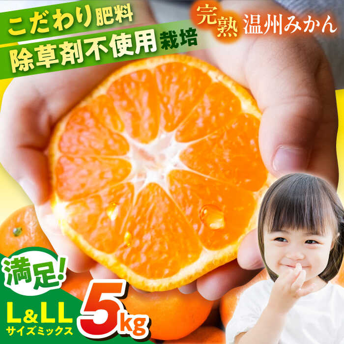 みかん　0705 ★ 楽天市場】【ふるさと納税】ゼロイチふぁーむ みかん 早生温州