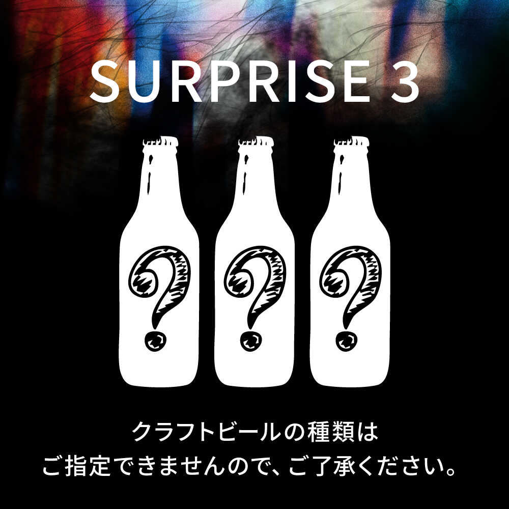 【ふるさと納税】クラフトビール おまかせ3本セット SURPRISE 3 ビール お酒 さけ 瓶 瓶ビール びーる 麦酒 宅飲み 晩酌 クラフトビール 横須賀【GRANDLINE BREWING】[AKGM005]