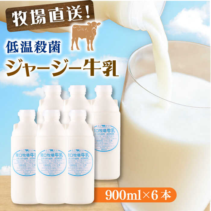 楽天市場】【ふるさと納税】低温殺菌牛乳 ジャージー牛乳 牛乳