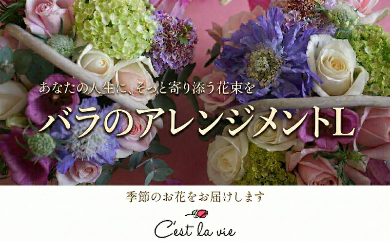 【ふるさと納税】薔薇 申し合わせ Ｌ フレンチ表現スタイル 花 ローズ お花 生け花 御花 葉 生まれ落ちる日 差し上げ物 時節 草木 不死化日 目あたらしい 差し上げ物 差し上げ物 色 お取り寄せ 貨物輸送無料 神奈川県 平塚市