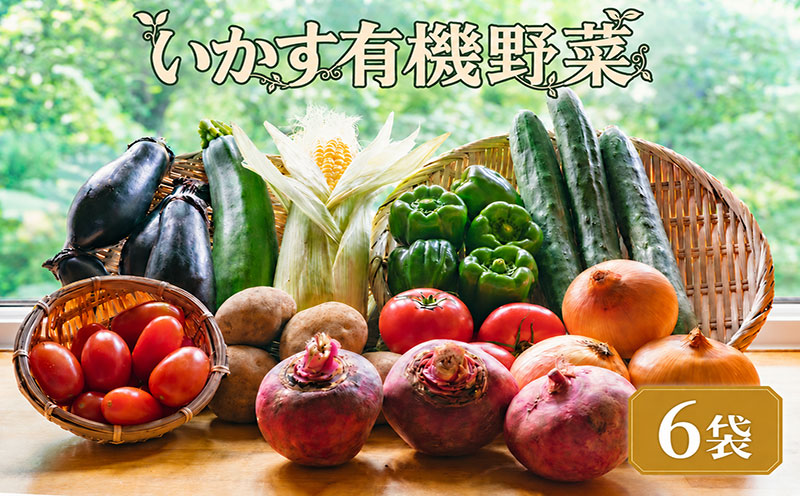 【ふるさと納税】 野菜 いかす有機野菜 6袋 野菜 有機野菜 やさい yasai 詰め合わせ 詰め合わせセット セット ふるさと納税野菜 神奈川県 平塚市 いかす｜神奈川県平塚市