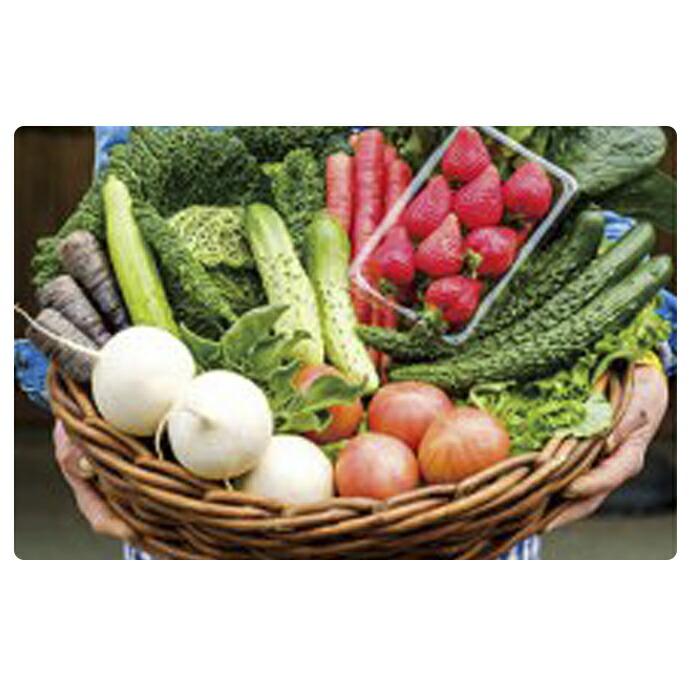 【ふるさと納税】【平塚よりお届け】湘南産　地場野菜・フルーツ　詰合せ 果物 セット