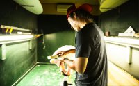 【ふるさと納税】波乗り ROCKDANCE サーフゲーム盤 ロングゲーム盤 Tomohiro Soeda 購入注文 乗車券 商いもの券