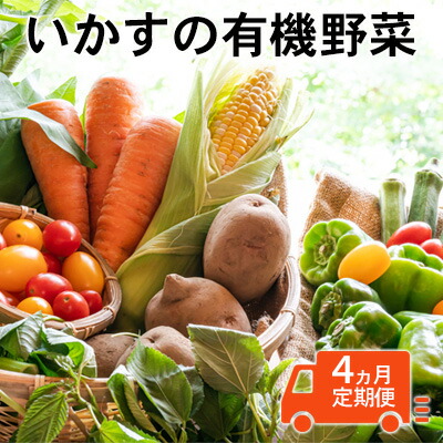 【ふるさと納税】いかすの有機野菜（月1回10品お届け4回分） セット 詰合せ 冷蔵