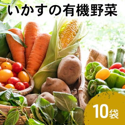 【ふるさと納税】いかすの有機野菜10袋 詰め合わせ 詰め合わせセット セット