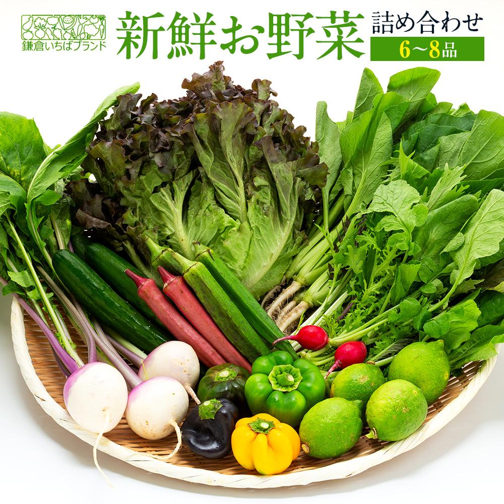 【ふるさと納税】「鎌倉いちばブランド」新鮮お野菜詰め合わせセット  6～8品 | 人気 野菜 詰合せ 詰め合わせ セット 新鮮野菜 詰め合わせセット 野菜セット 季節の野菜 鎌倉野菜 地元産 お取り寄せ おすすめ 送料無料 神奈川 鎌倉