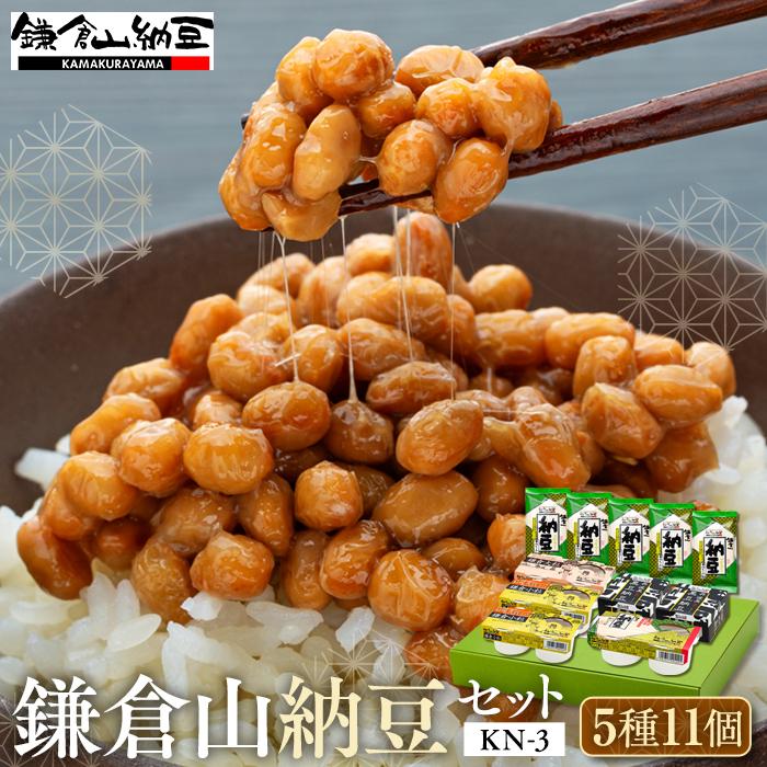 鎌倉山納豆　日本の大粒　たれ付き