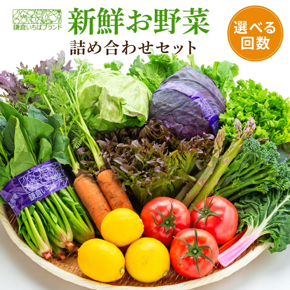 【ふるさと納税】「鎌倉いちばブランド」新鮮お野菜詰め合わせセット10～15品/1回/定期便4回/定期便6回 | 人気 野菜 詰合せ 詰め合わせ セット 新鮮野菜 詰め合わせセット 野菜セット 季節の野菜 鎌倉野菜 地元産 お取り寄せ おすすめ 送料無料 神奈川 鎌倉
