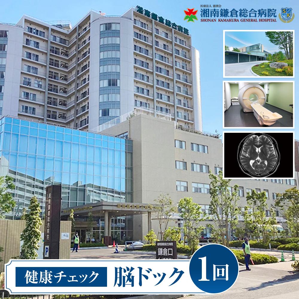 【ふるさと納税】【湘南鎌倉取り入れるホスピタル】思わしい照合のしるし：脳ドック | 券 一般受け おすすめ 貨物輸送無料