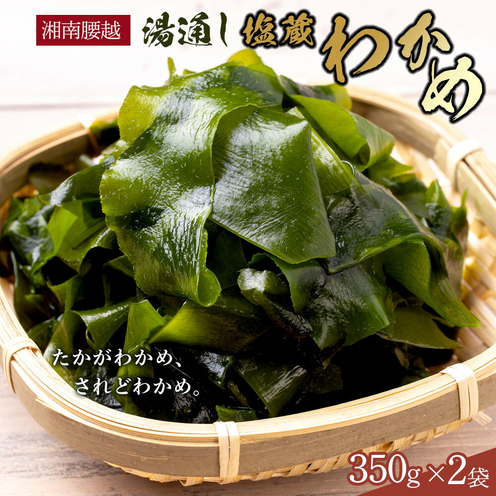 【ふるさと納税】【湘南腰越名産！】湯通し「塩蔵わかめ」350g×2袋 | 海藻 魚介類 水産 食品 人気 おすすめ 送料無料