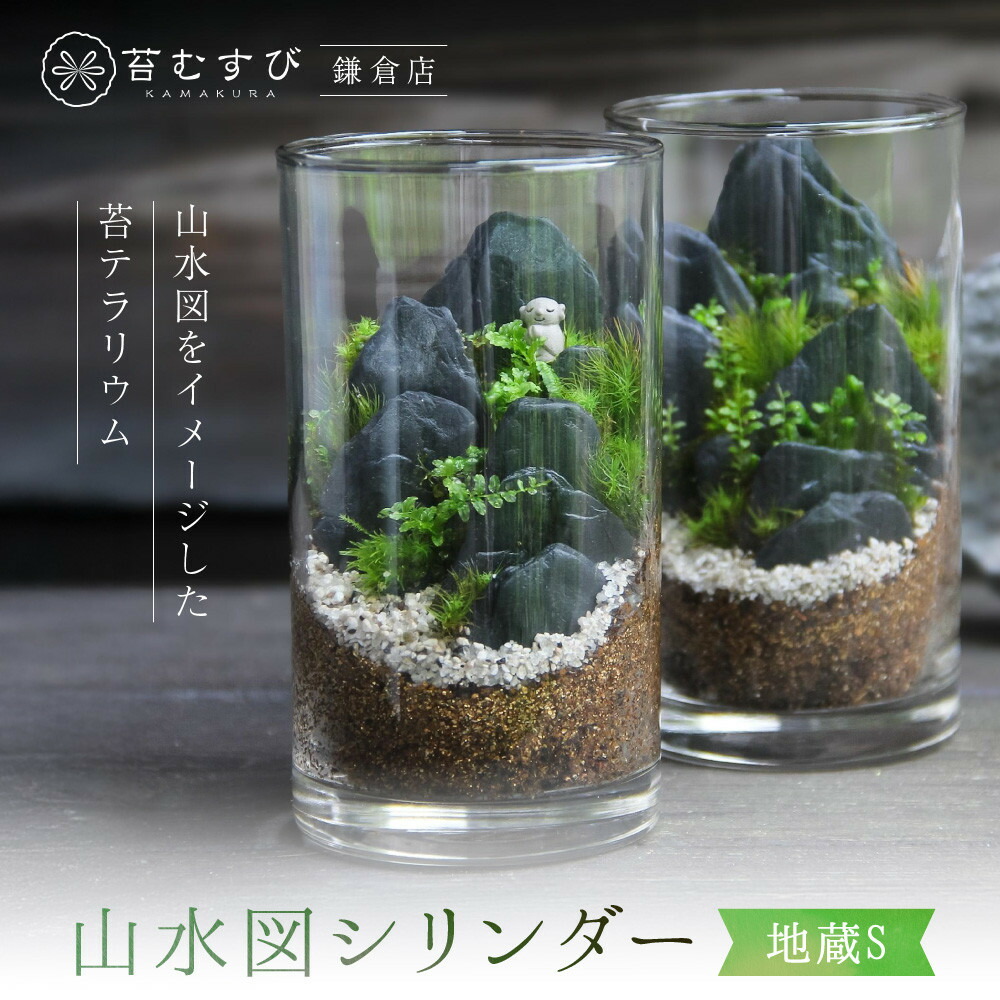 【ふるさと納税】《苔テラリウム・コケリウム》地蔵S_風景図 円柱M | 草木 工業プラント 一般受け おすすめ 貨物輸送無料