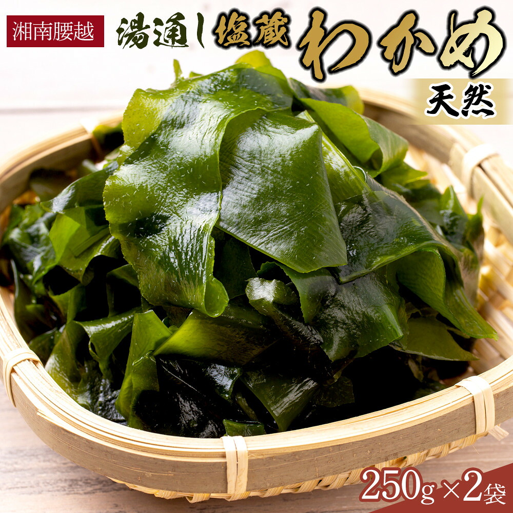 【ふるさと納税】【湘南腰越名産！】湯通し「天然塩蔵わかめ」250g×2袋 | 海藻 魚介類 水産 食品 人気 おすすめ 送料無料