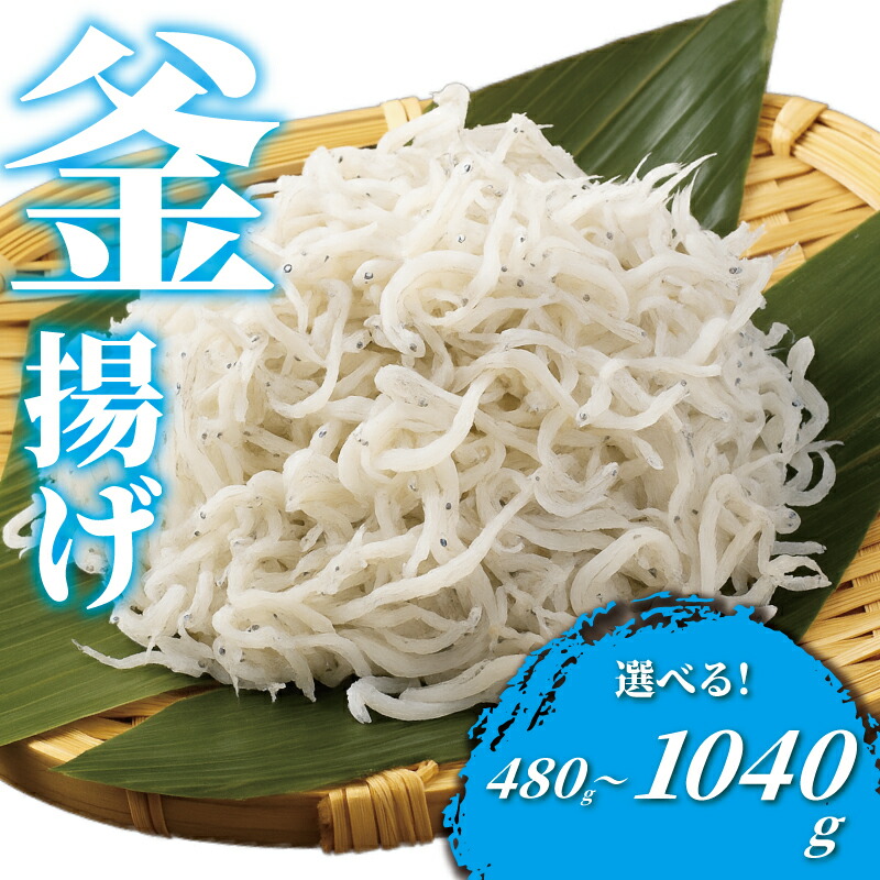 【ふるさと納税】 しらす 計480g ~ 1kg 以上 釜揚げしらす 4パック シラス 魚 釜揚げ 湘南しらす sirasu じゃこ ちりめん しらす干し 江の島しらす イワシ 小分け 便利 海鮮 新鮮 魚介 魚貝 小魚 ごはん 米 おかず 海鮮丼 冷凍 江の島 江ノ島 とびっちょ 神奈川 湘南 藤沢|神奈川県藤沢市
