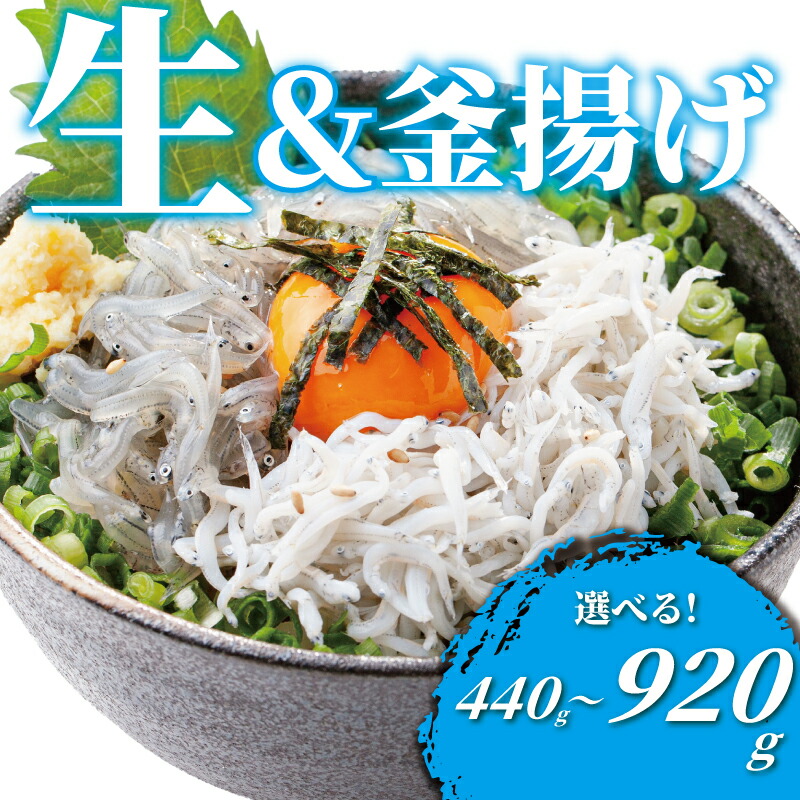 【ふるさと納税】 生しらす 釜揚げしらす 計440g ~920g 選べる 内容 魚 釜揚げ 生 シラス 湘南しらす sirasu じゃこ ちりめん しらす干し 江の島しらす カタクチイワシ イワシ 小分け 海鮮 魚介 魚貝 小魚 海鮮 冷凍 セット 贈答 江の島 江ノ島 とびっちょ 神奈川 湘南 藤沢|神奈川県藤沢市
