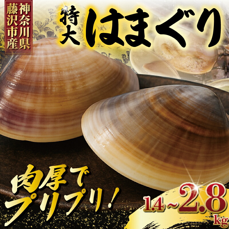 【ふるさと納税】はまぐり 大粒 1.4kg ~ 2.8kg ( 5 ~ 12個 ) ハマグリ 蛤 選べる 内容量 湘南はまぐり 冷凍 魚介 魚貝 冷凍 海鮮 水産加工品 水産品 海産物 魚 貝 だし ダシ 出汁 酒蒸し お吸い物 網焼き バーベキュー BBQ 貝 kai hamaguri  江の島 江ノ島 神奈川 湘南 藤沢