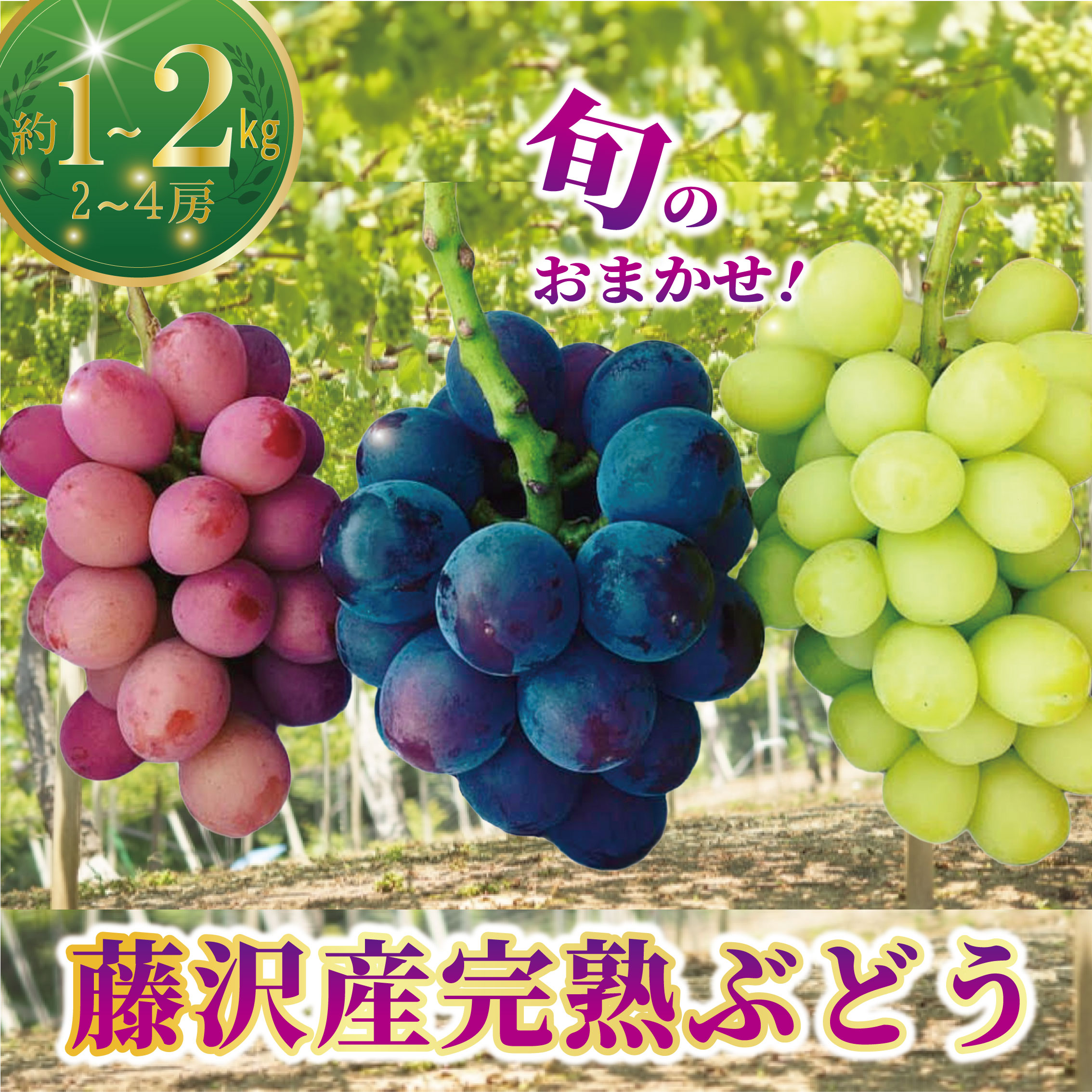 ShirleyTemple ぶどうセット TODDLER 100～140㎝ – Shirley Temple Online Store