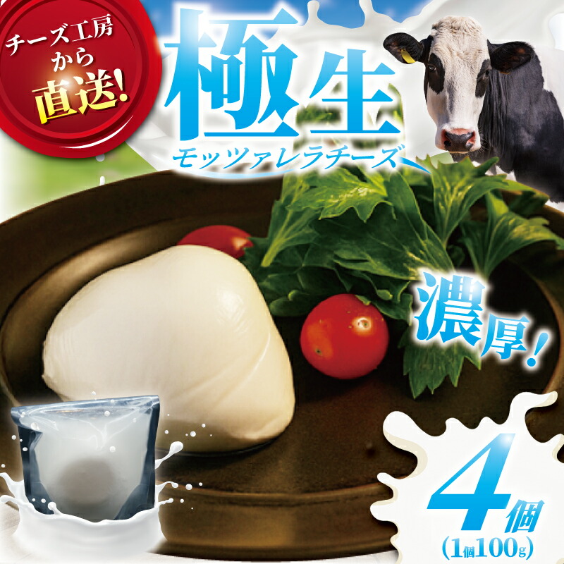 【ふるさと納税】 チーズ モッツァレラ チーズ 4個 極生 モッツァレラチーズ ちーず ナチュラルチーズ cheese フレッシュチーズ 手作り 自家製 新鮮 ミルク 新鮮 出来立て 直送 ビール おつまみ ピザ パスタ お酒のあて Aprotodo&rsquo;S株式会社 RRAAP BREWERY 神奈川 湘南 藤沢｜神奈川県藤沢市