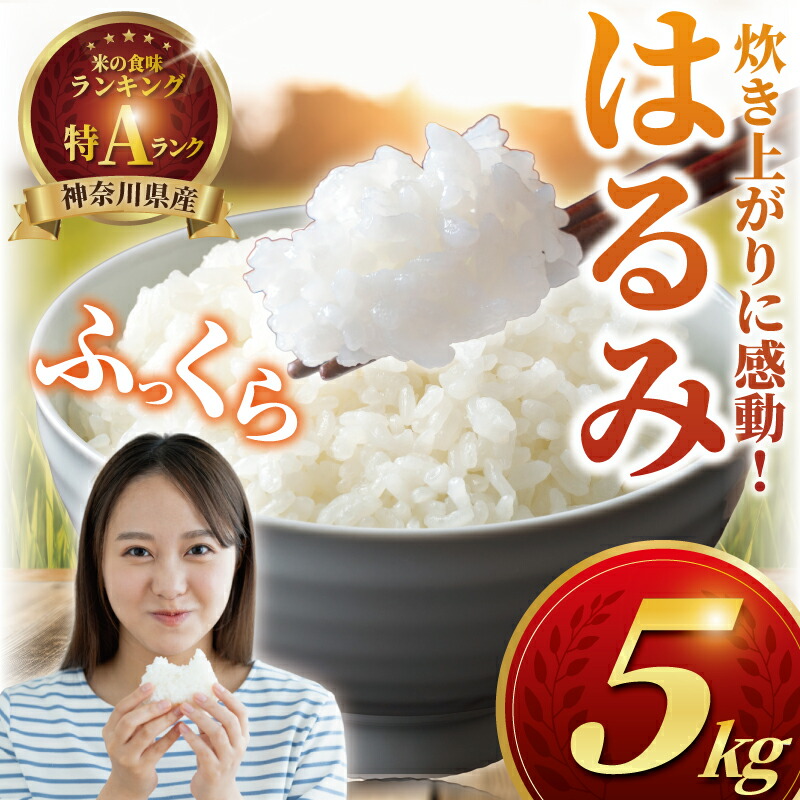 ふるさと納税 [お米マイスターの店] 令和5年産 神奈川県はるみ20kg [0217] 神奈川県伊勢原市