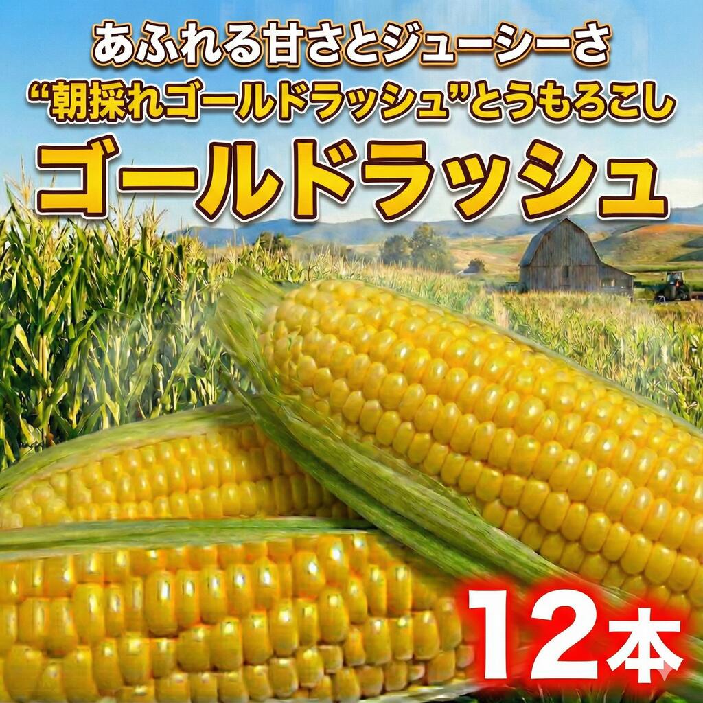 【ふるさと納税】 とうもろこし ゴールドラッシュ 12本 朝採り とれたて トウモロコシ 先行予約 コーン 新鮮 ジューシー こーん 美味い おやつ とうきび 国産 旬 夏野菜 野菜 やさい 数量限定 農家直送 産地直送 神奈川 湘南 藤沢 亀井農園