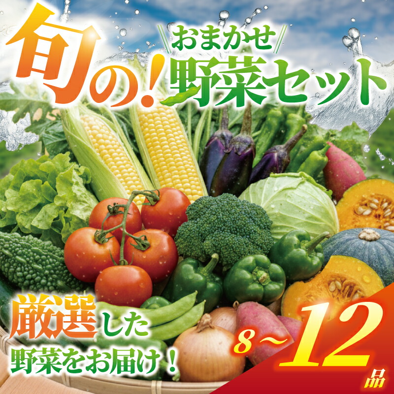 【ふるさと納税】8 ～ 12品 旬 の おまかせ 野菜セット お任せ 詰め合わせ 野菜セット やさい やさいセット yasai きゅうり トマト なす ねぎ さといも 小松菜 白菜 玉ねぎ ヤサイ 旬の野菜セット 新鮮 数量限定 亀井農園 神奈川 湘南 藤沢 7,800円
