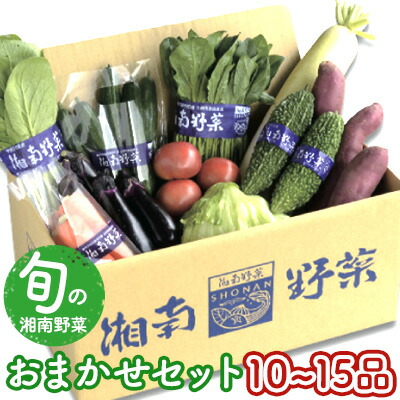 【ふるさと納税】 野菜セット 旬の湘南野菜おまかせセット
