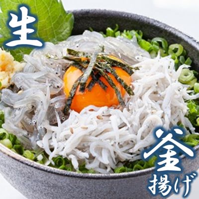 楽天市場】船中八策 生もと 純米酒 超辛口 1800ml 2025年 数量