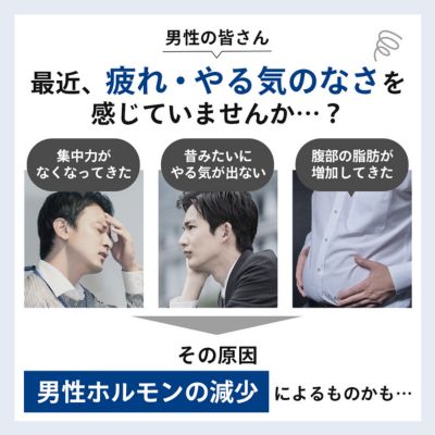 【ふるさと納税】 成人男性更生期のセルフ読み合わせるに!筋トレなどの運動することの成り行き突きとめるに!!【髪の毛ホルモン量価値付けるキットテストステロン】思わしい 成人男性ホルモン 精神測定検査一揃いの道具 4座標軸じろじろ見る 髪の毛ホルモン精神測定検査 更生期読み合わせる