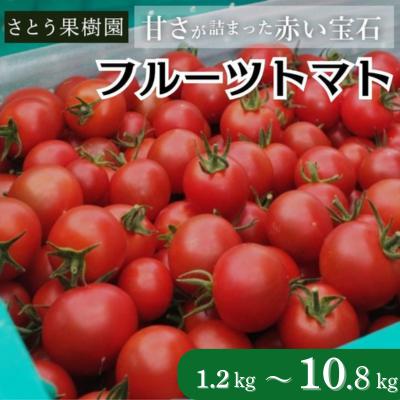 【ふるさと納税】 トマト フルーツトマト 1.2kg～10.8kg 1箱 フルティカ 藤沢市 野菜 とまと ミニトマト ハウス栽培