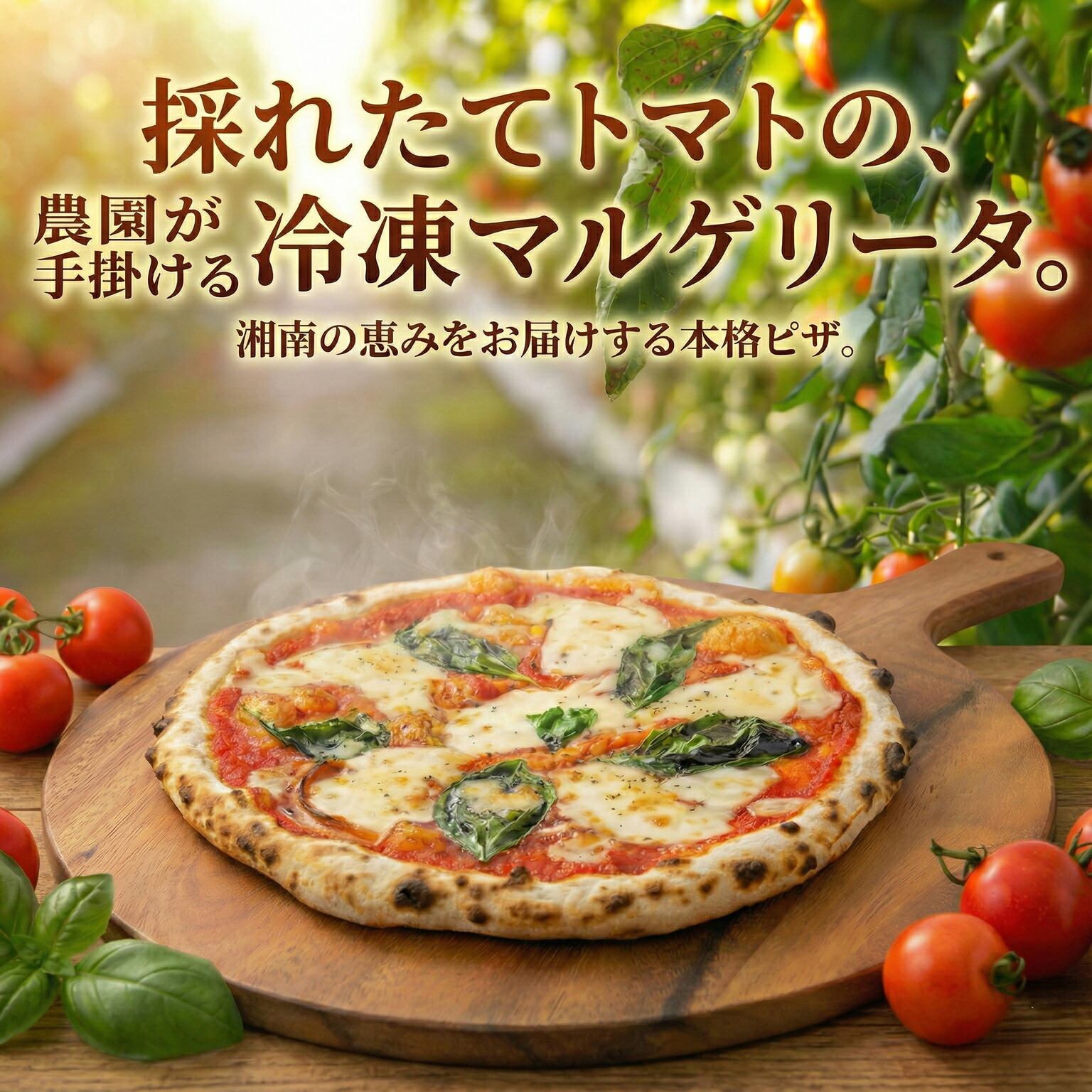 【ふるさと納税】 ピザ マルゲリータ 手作りピザ 冷凍ピザ 3枚 高糖度 フルーツトマト チーズ モッツァレラチーズ 朝採れ フレッシュ バジル トマト トマトソース 濃縮 tomato 野菜 やさい yasai こだわり 農家 トマト農家 農園 絶品 本格 ヘルシー 新鮮 神奈川 湘南 藤沢|神奈川県藤沢市