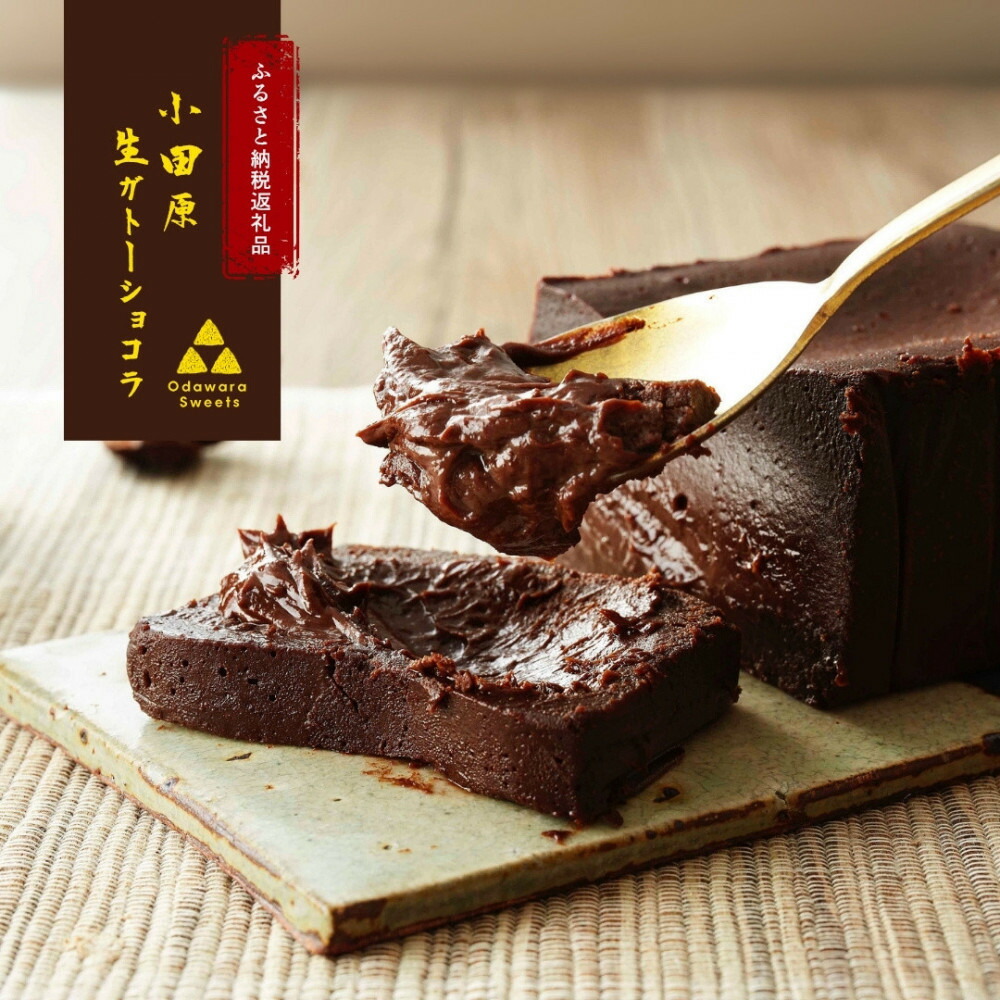 【ふるさと納税】極上の口溶け。幸せの生ガトーショコラ 500g【 高級 濃厚 極上スイーツ グルテンフリー チョコ ショコラテリーヌ 高品質クーベルチュールチョコレート使用 一流シェフ 神奈川県 小田原市 】|神奈川県小田原市
