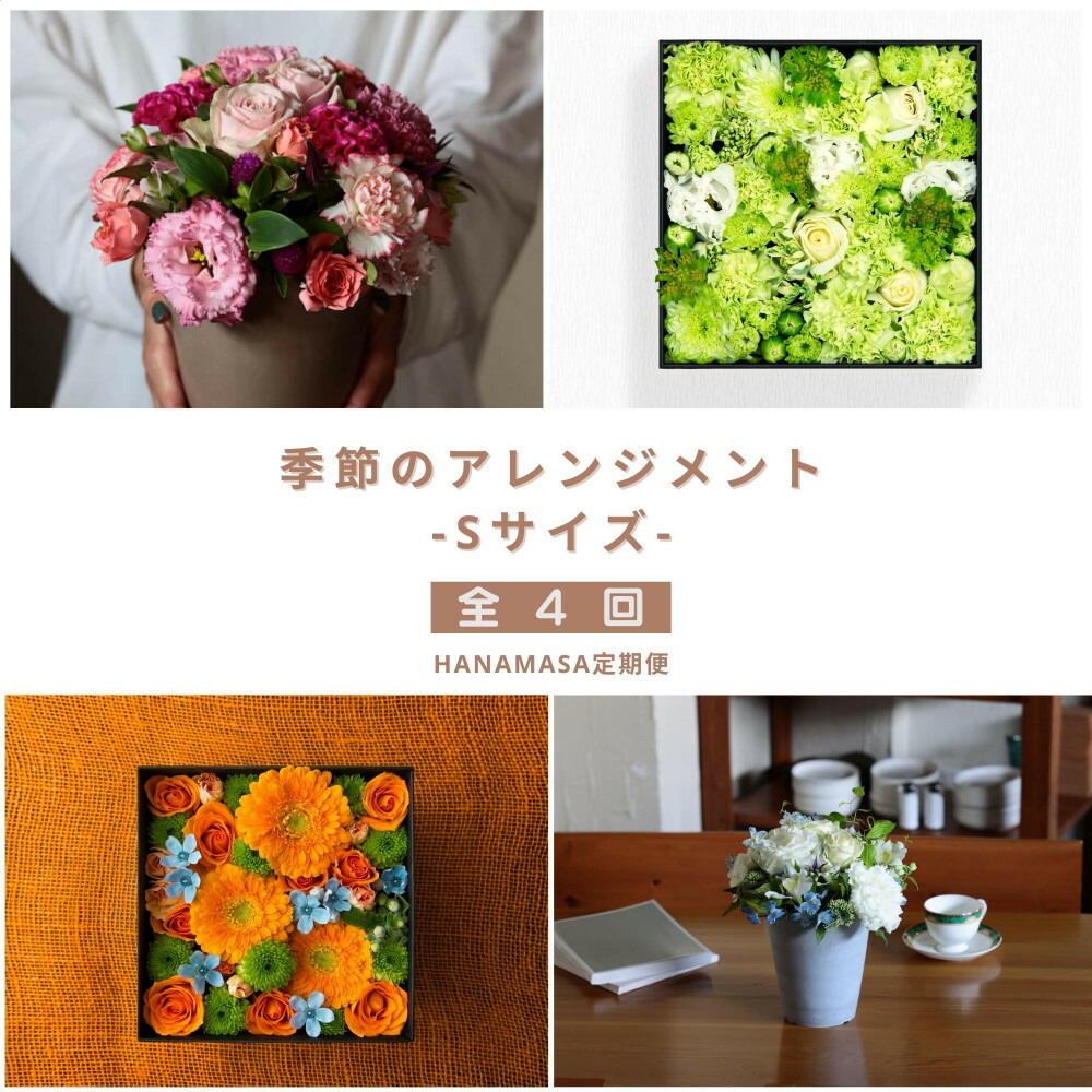 【ふるさと納税】【御花の定期便】「陽気毎」に届く、旬の申し合わせ S大いさ（4回お届け）