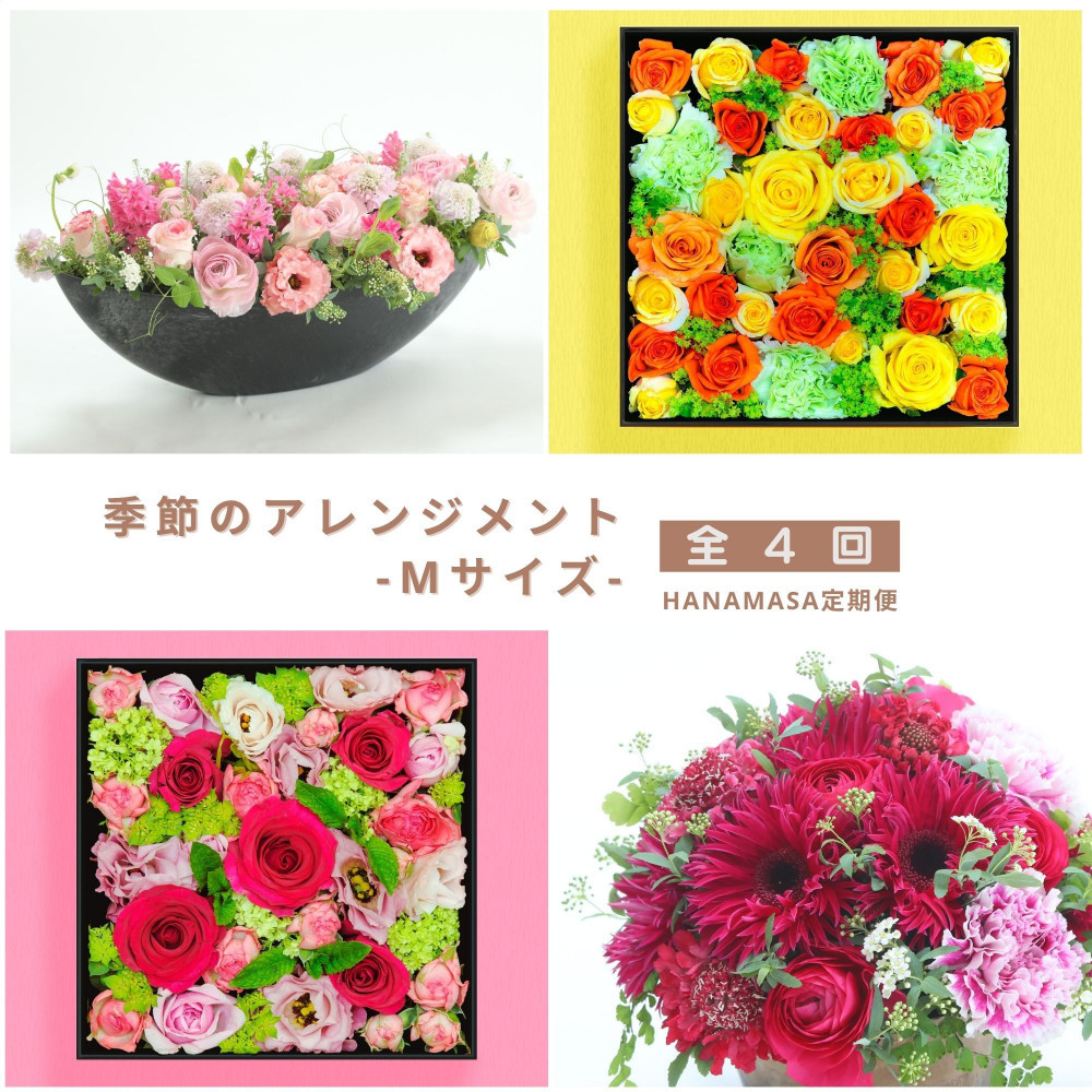 【ふるさと納税】【御花の定期便】「陽気毎」に届く、旬の申し合わせ M大いさ（4回お届け）