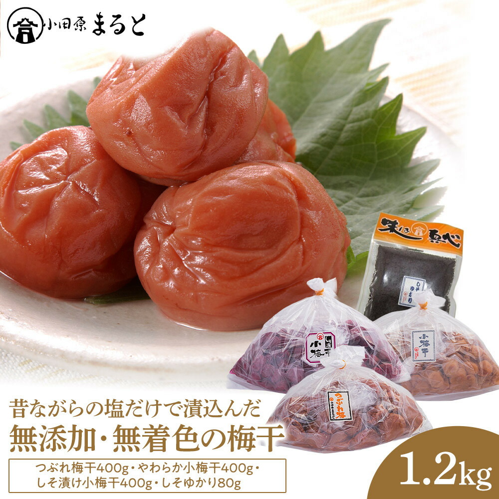 【ふるさと納税】昔ながらの塩だけで漬込んだ無添加・無着色の梅干1.2kg【梅干 梅干し ウメボシ うめぼし 梅干 梅 ウメ お家用 家庭用 国産 無添加 無着色 神奈川県 小田原市 】 15,540円