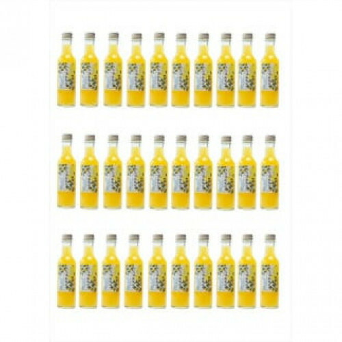 【ふるさと納税】定期便９回 小田原産江之浦あなまつスパークリング果汁入り飲料果汁５０％２００ml３０本【 神奈川県 小田原市 】 248,000円