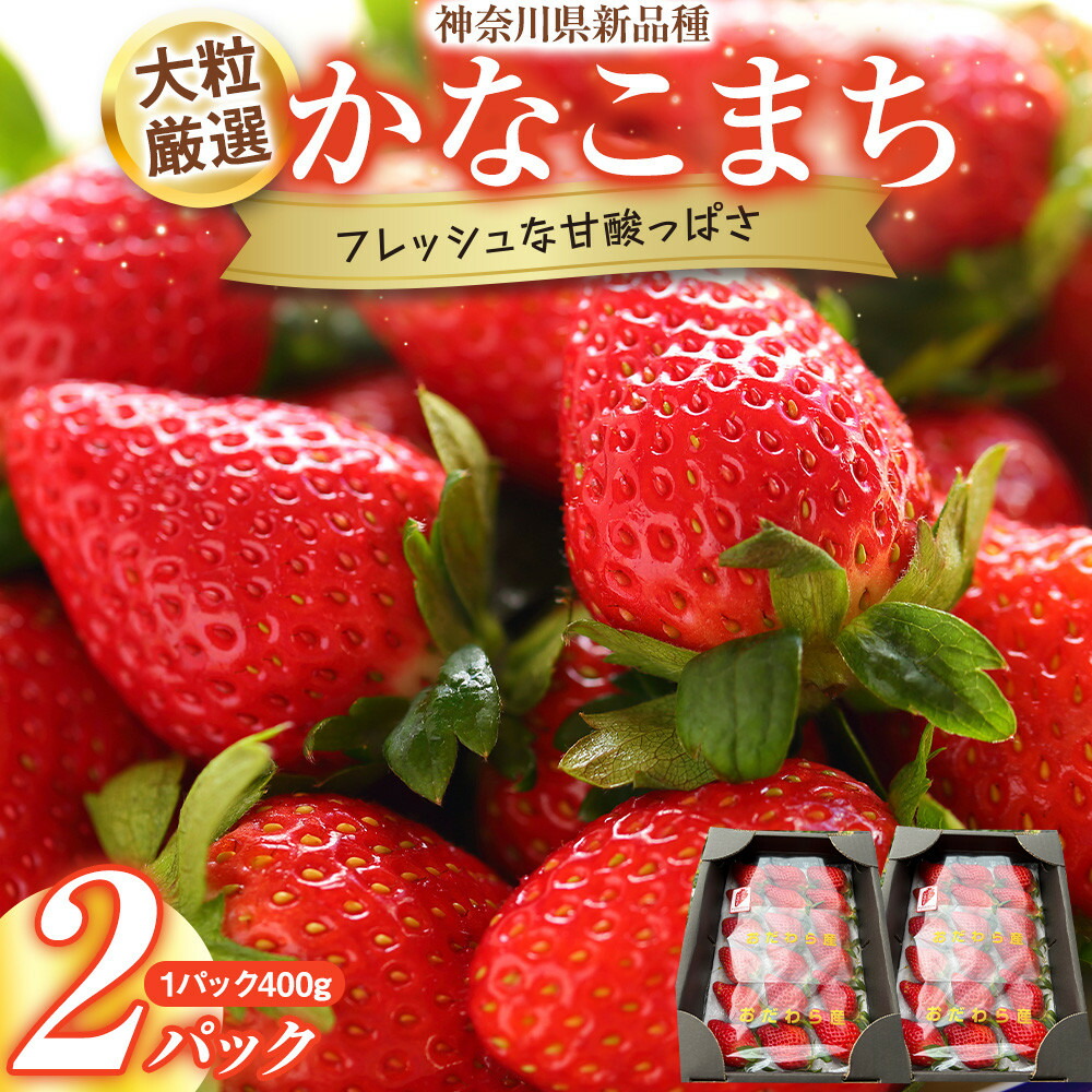 楽天市場】2026年分予約 岐阜産 苺 美濃娘 約400g 化粧箱 いちご