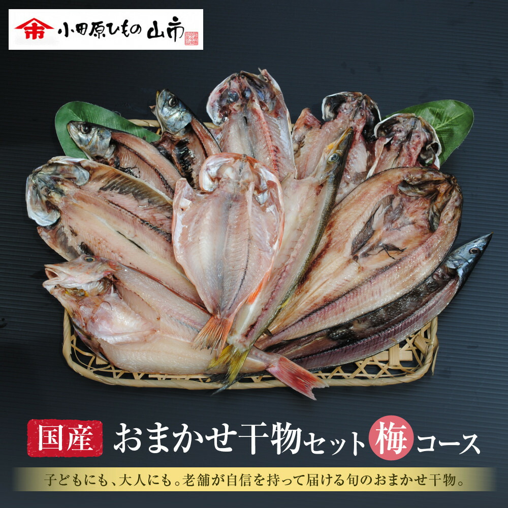 【ふるさと納税】【国産】おまかせ干物セット 梅コース【お取り寄せ 海鮮 グルメ ギフト プレゼント 産地直送 産直 魚 手作り ひもの 詰め合わせ お中元 お歳暮 父の日 母の日 誕生日 自宅用 贈答品 贈答用 朝食 バーベキュー 神奈川県 小田原市 】｜神奈川県小田原市
