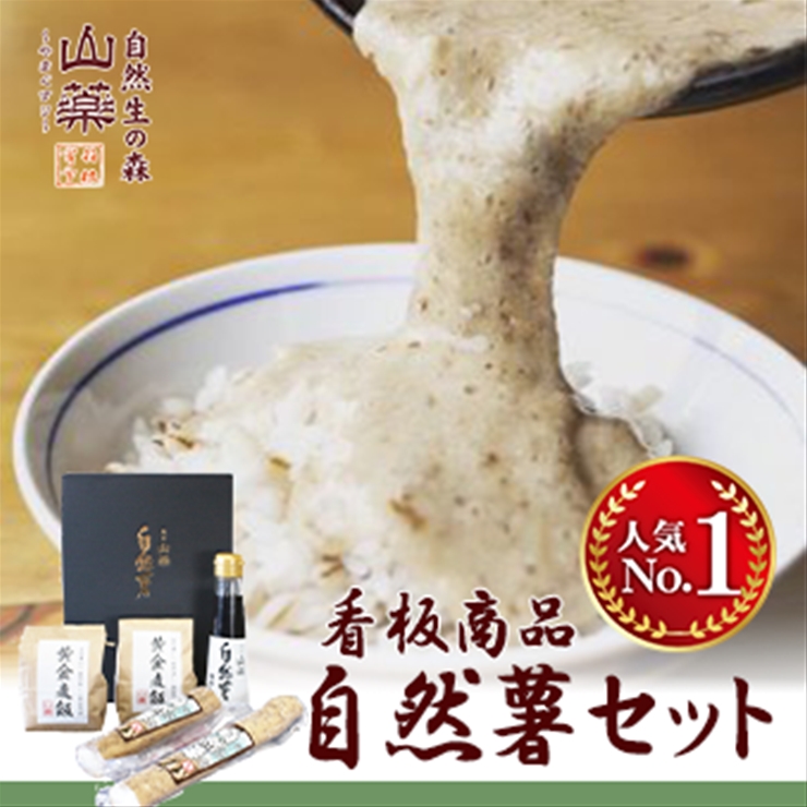 楽天市場】【ふるさと納税】いいちみそ500g 6種セット（計3kg)【味噌 味噌汁 神奈川県 小田原市】 : 神奈川県小田原市