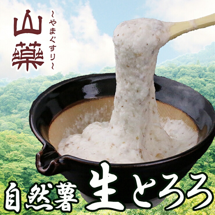 【ふるさと納税】自然薯の味をお楽しみください。自然薯生とろろ100ｇ×５ｐセット【とろろ 極上とろろ 山芋 箱根 お家用 家庭用 国産 セット商品 自然薯 味付とろろ 神奈川県 小田原市 】
