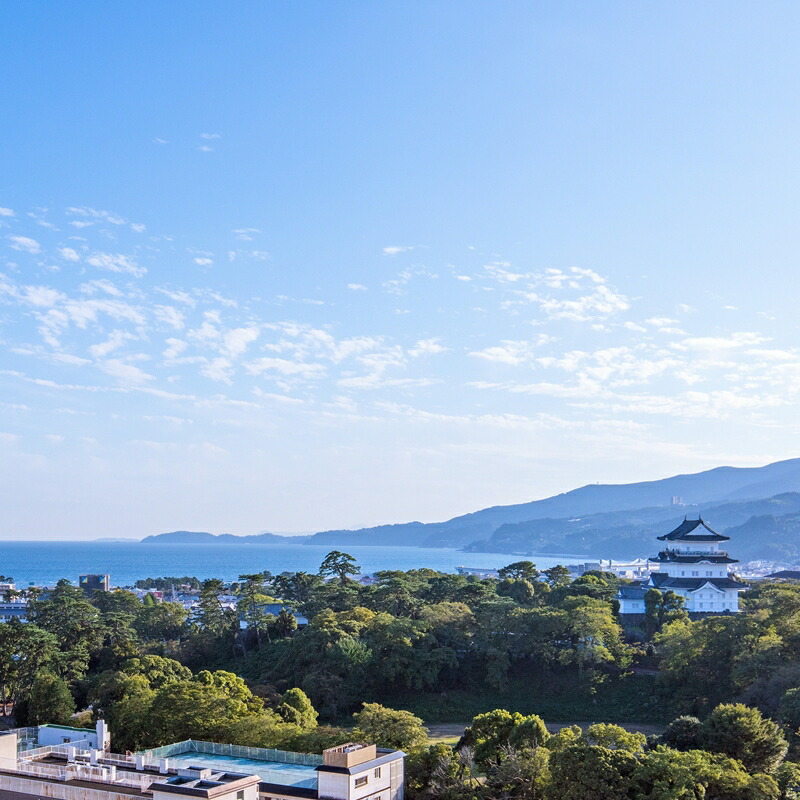 楽天市場】【ふるさと納税】天成園小田原駅別館1泊朝食付き宿泊券（1名様分）とミナカ小田原食事券3,000円付きコース【小田原旅行 天成園で宿泊  単身旅行におすすめ プチ贅沢 温泉 旅館・ホテル 旅行 宿泊 体験・チケット 神奈川県 小田原市 】 : 神奈川県小田原市