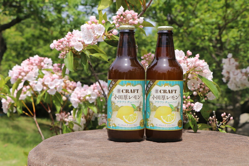 楽天市場】【ふるさと納税】小田原レモンクラフトチューハイ 12