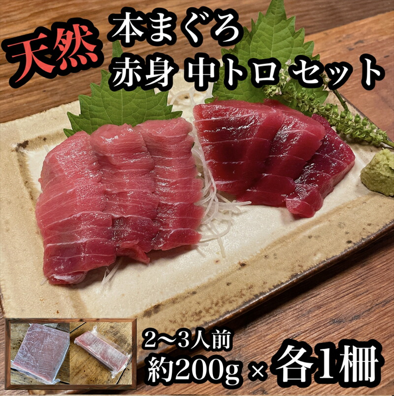 【ふるさと納税】貴重な天然本鮪 赤身 約200g 中トロ 約200g 各1柵 2 3人前●赤身はマグロの中心部天身を使用！中とろの脂はくどくない上質な脂！【赤身 天身 惣菜 海鮮 お取り寄せ 御中元 お中元 お歳暮 父の日 母の日 贈り物 日本酒 焼酎】【神奈川県小田原市早川】