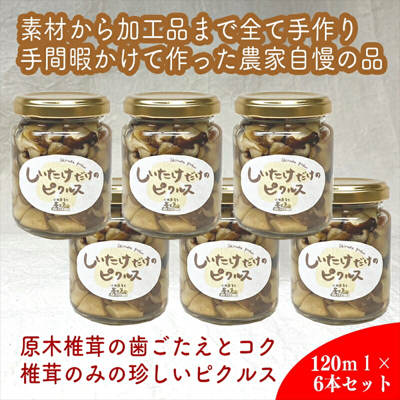 【ふるさと納税】しいたけだけのピクルス 6個セット【 家庭用 自宅用 贈答品 贈答用 ギフト お取り寄せ お中元 お歳暮 贈り物 お祝い 神奈川県 小田原市 】